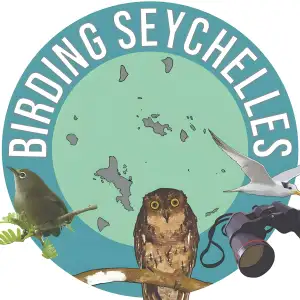 Birding Seychelles